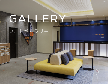 フォトギャラリー