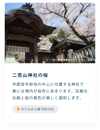二荒山神社の桜