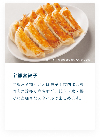 宇都宮餃子